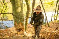 ET-2022-022-Eifelsteig-Wildnistrail, Nationalpark-@Eifel Tourismus GmbH, Dominik Ketz_variant1